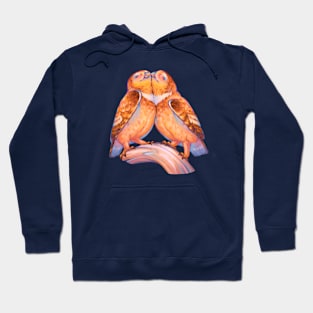 2 cute owls in love Hoodie